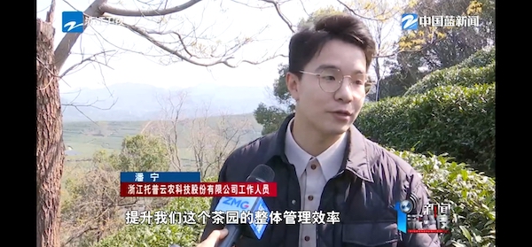 春茶開采正當(dāng)時(shí)！揭秘托普云農(nóng)如何用科技“制”出一杯數(shù)字好茶