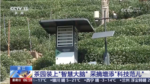 央視、人民網(wǎng)等權(quán)威媒體聚焦西湖龍井：托普云農(nóng)“黑科技”點(diǎn)亮千年茶香智變之路