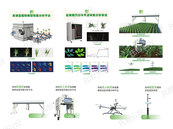 AI+農(nóng)業(yè)新突破！托普高通量植物表型智能分析平臺助力智慧農(nóng)業(yè)創(chuàng)新發(fā)展