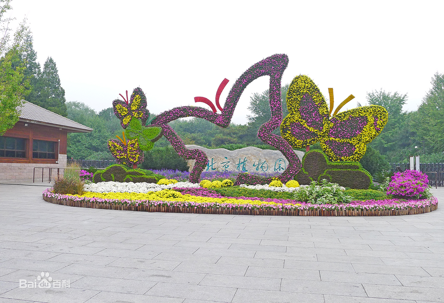 植物園景點(diǎn)介紹.租車價(jià)格.指南.攻略